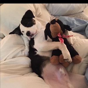 Meet your Posher, Alexander